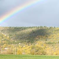 via crucis via crucis