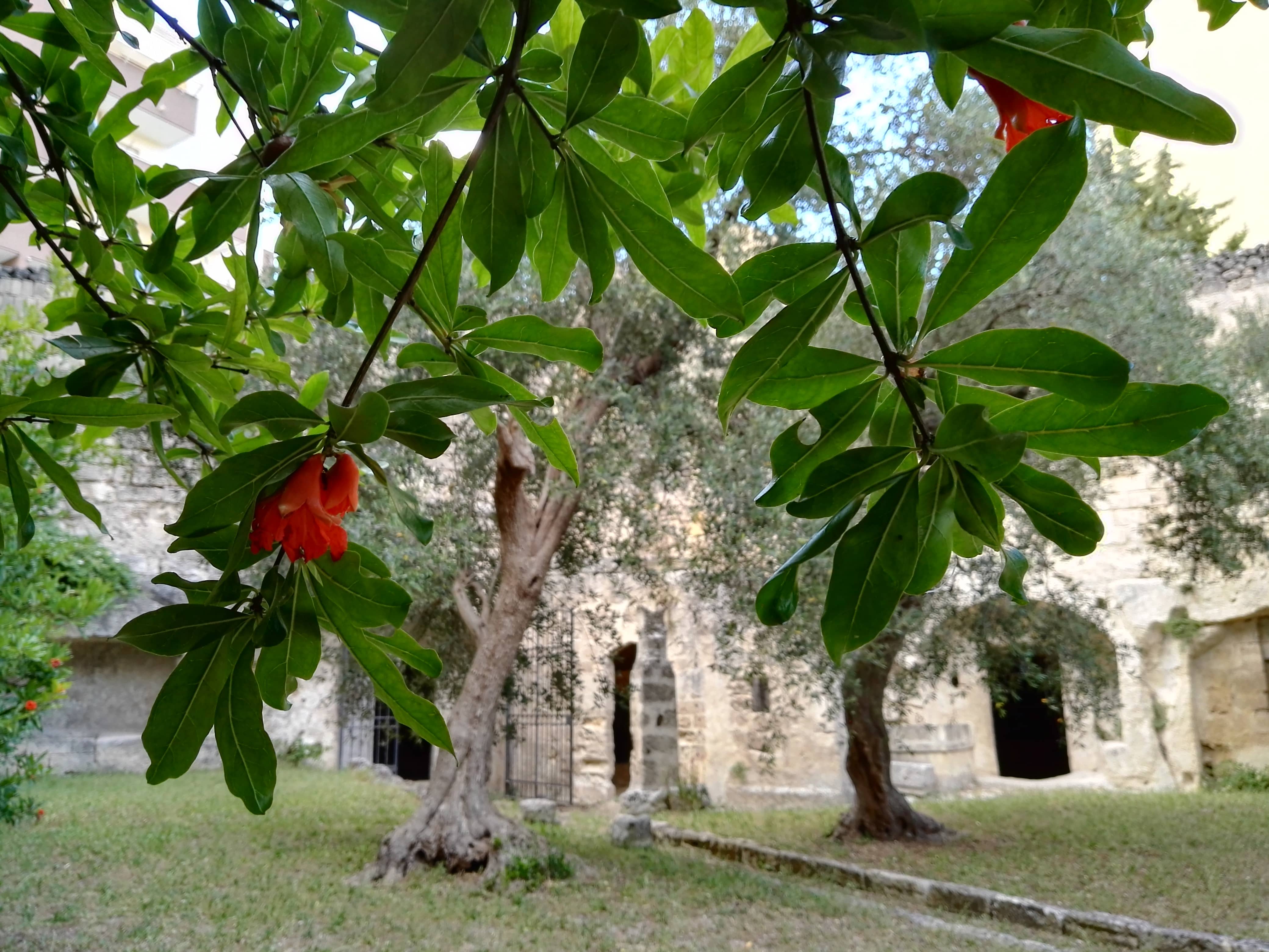CHIESA RUPESTRE DEI QUATTRO EVANGELISTI