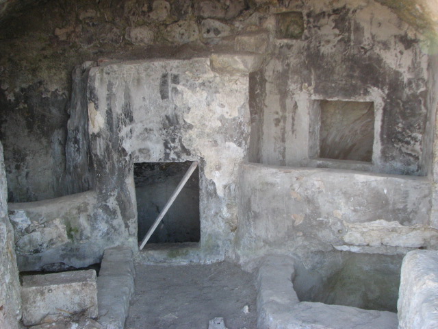 PARCO URBANO DEI PALMENTI