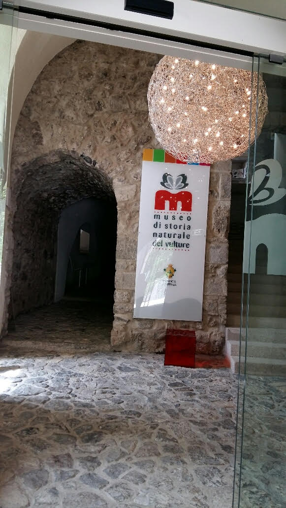 MUSEO DI STORIA NATURALE DEL VULTURE