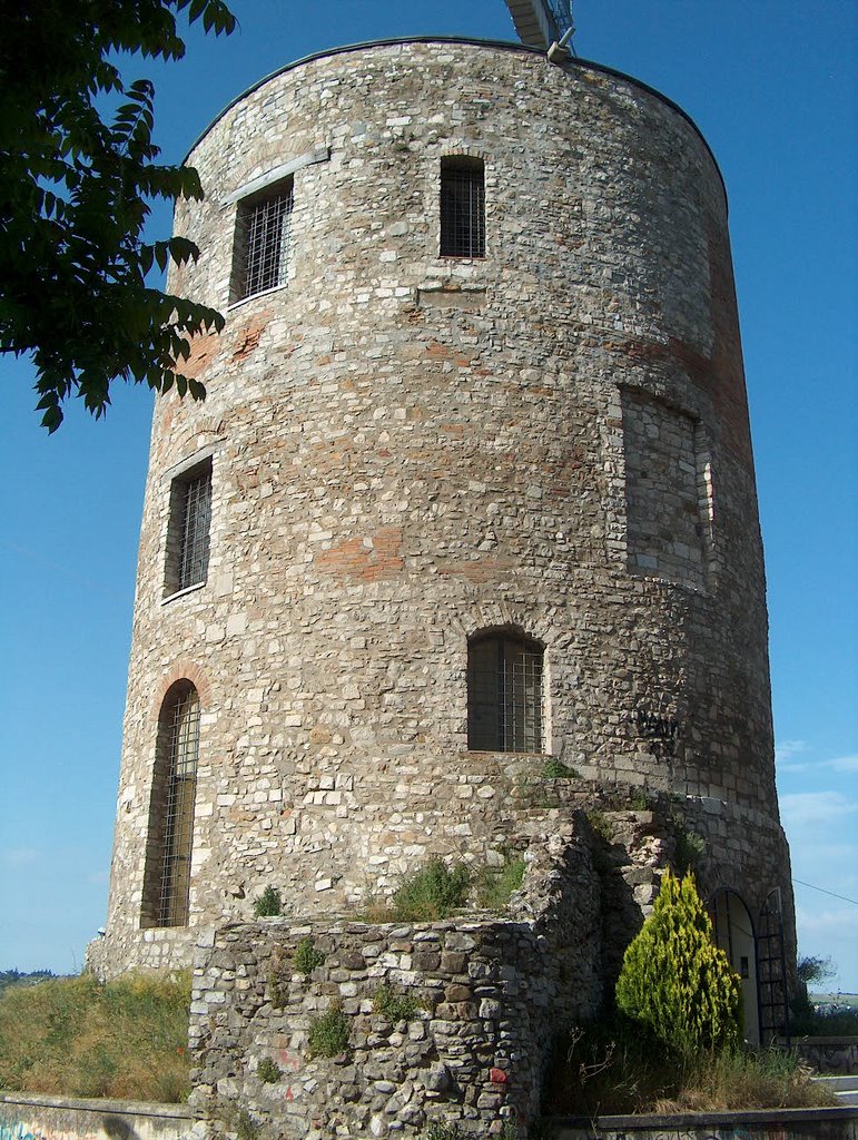 TORRE GUEVARA