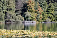 I Luoghi del Cuore-Laghi di Monticchio