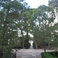 viale della villa di palazzo Barracco, VILLA DI PALAZZO BARRACCO, SANTA SEVERINA (KR )