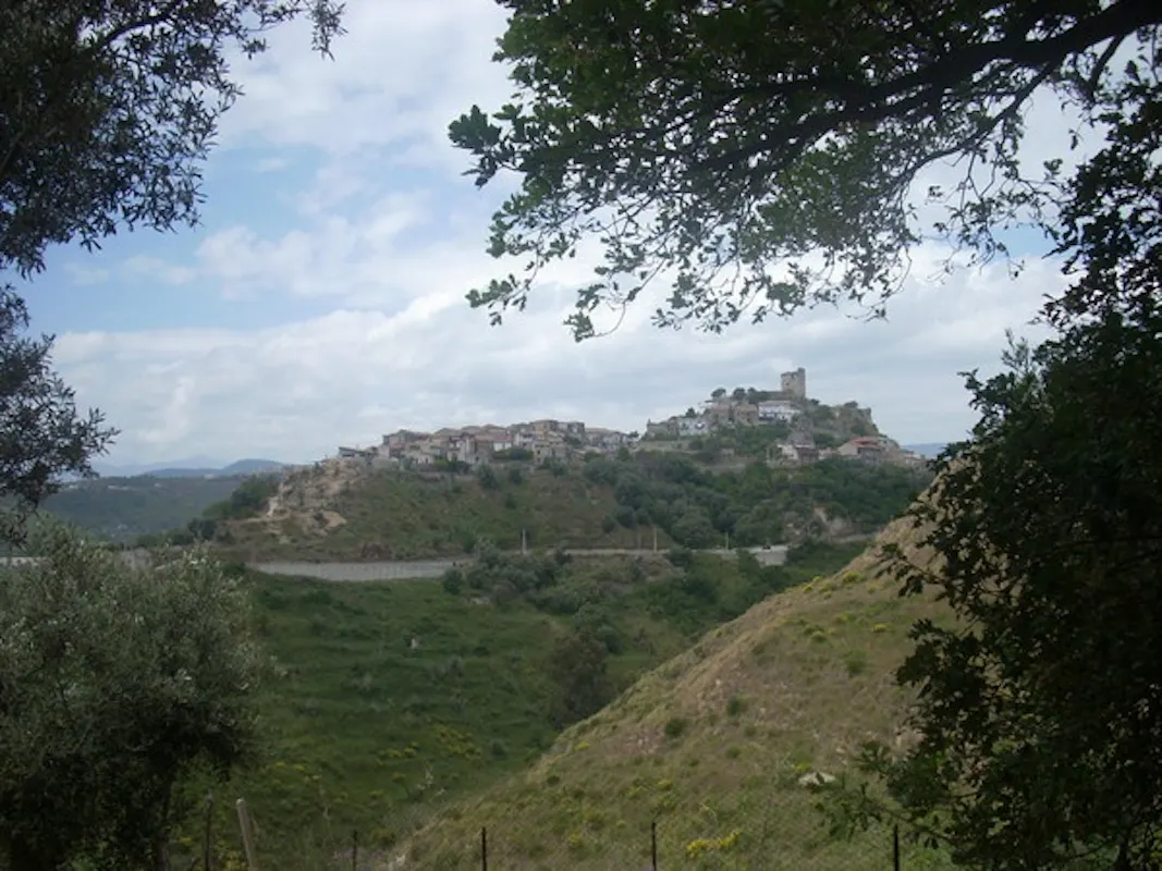 CONDOJANNI CONDOJANNI