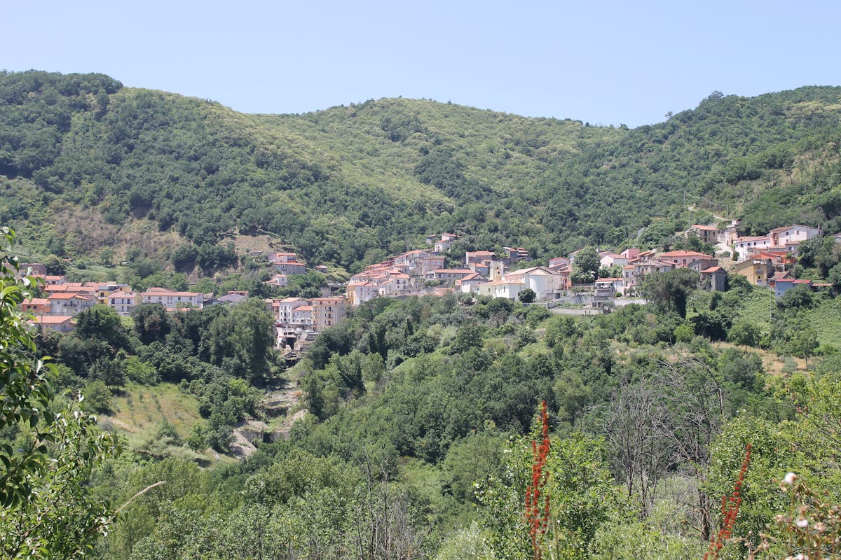 PAESAGGIO DI SANTA PAOLINA PAESAGGIO DI SANTA PAOLINA