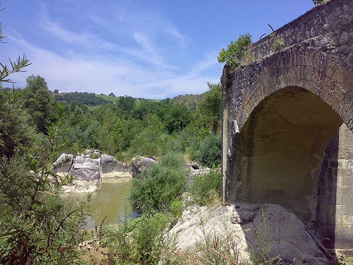 PONTE FOENICULUM