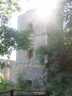 BADIA SANTA MARIA IN GRUPTIS