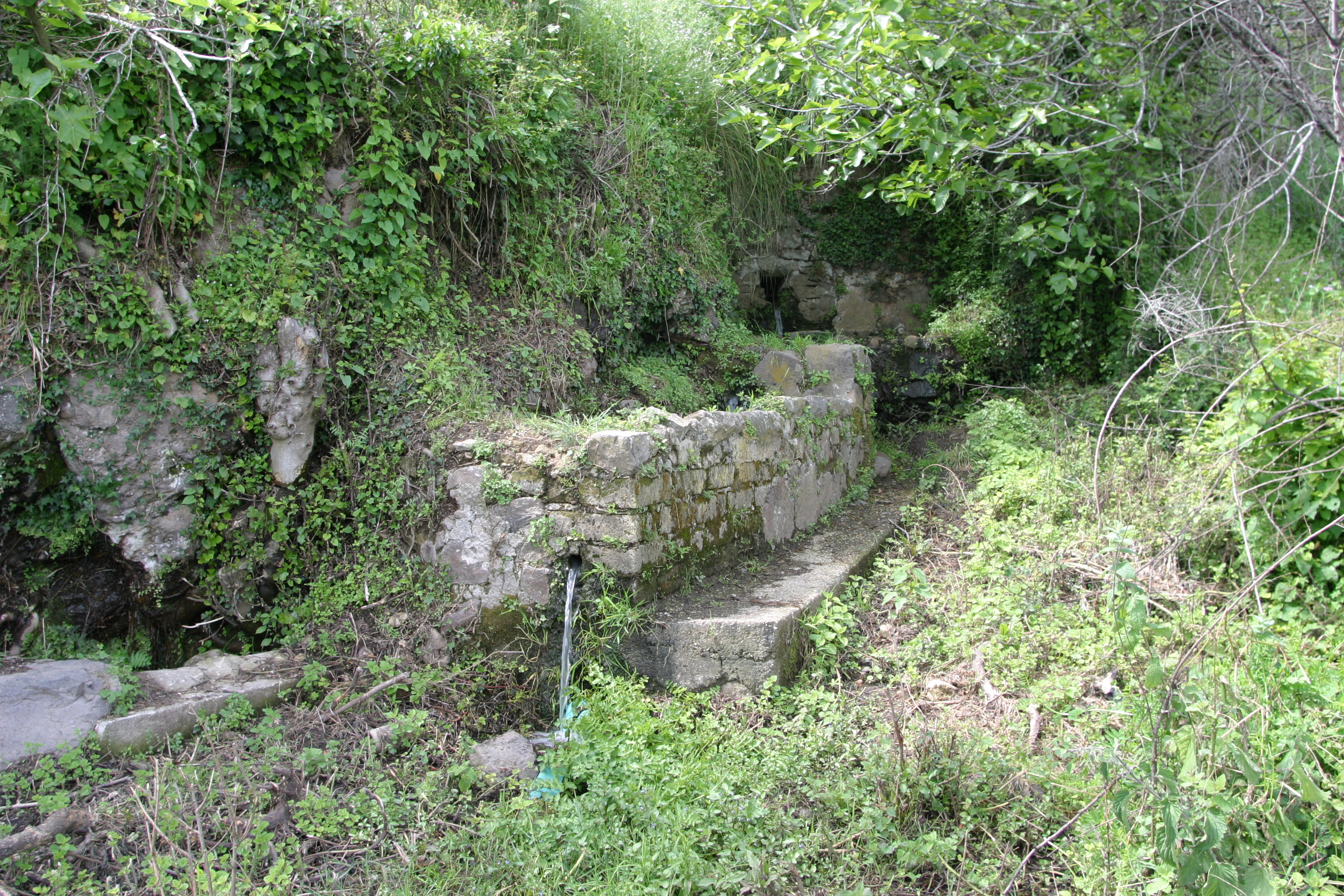 FONTANELLE DI TEANO | I Luoghi del Cuore - FAI