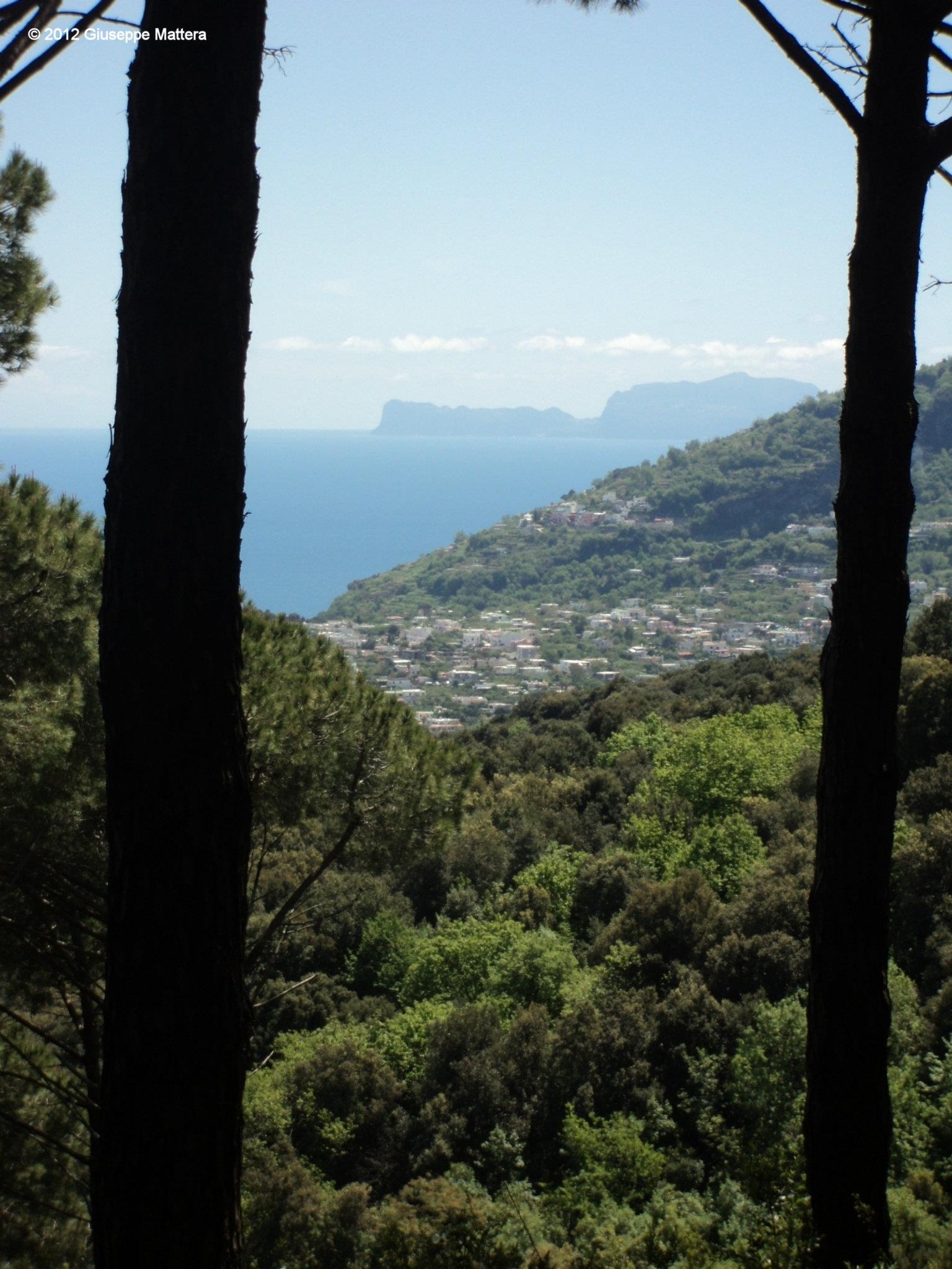BOSCO DELLA MADDALENA