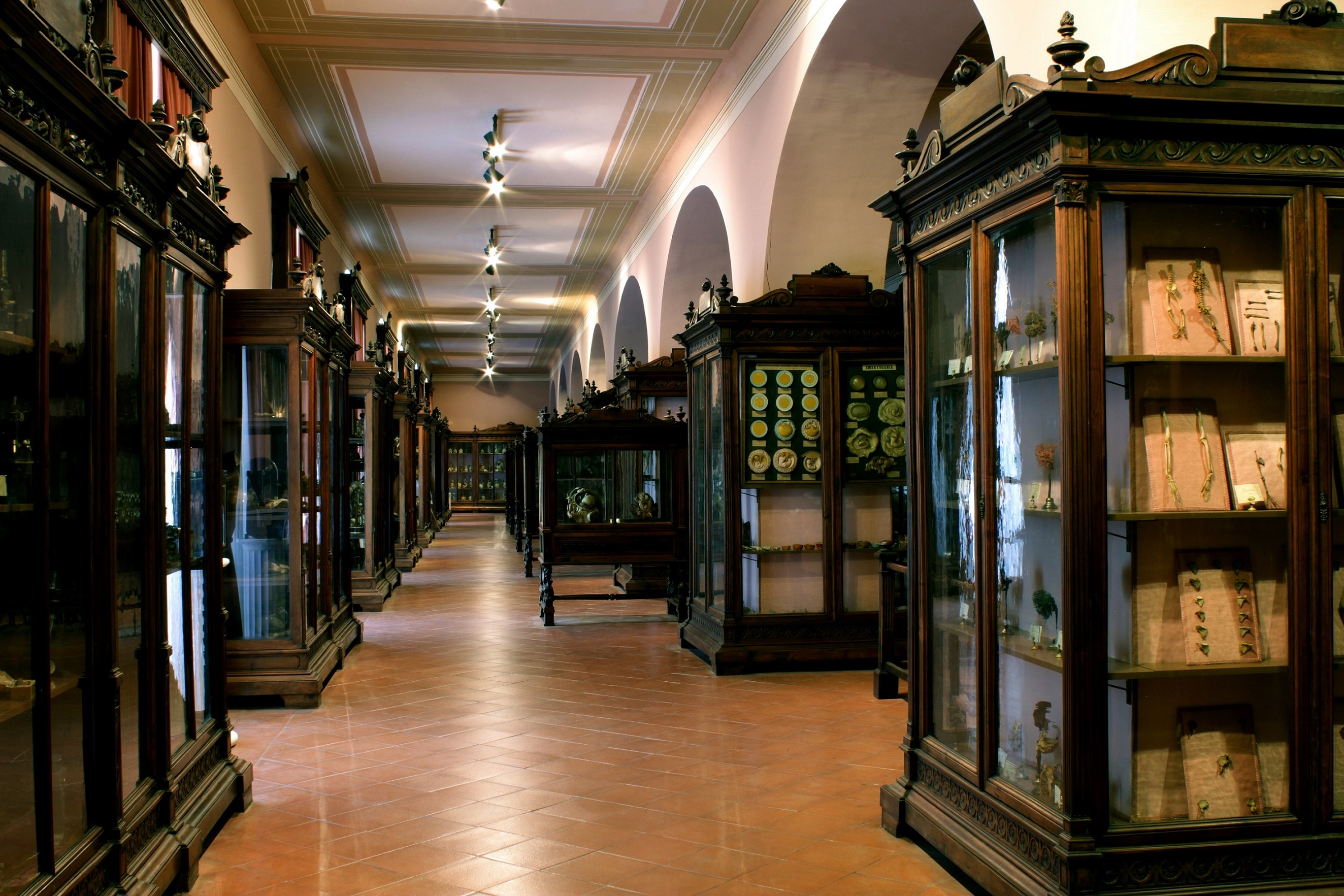 MUSA - MUSEO UNIVERSITARIO DELLE SCIENZE E DELLE ARTI