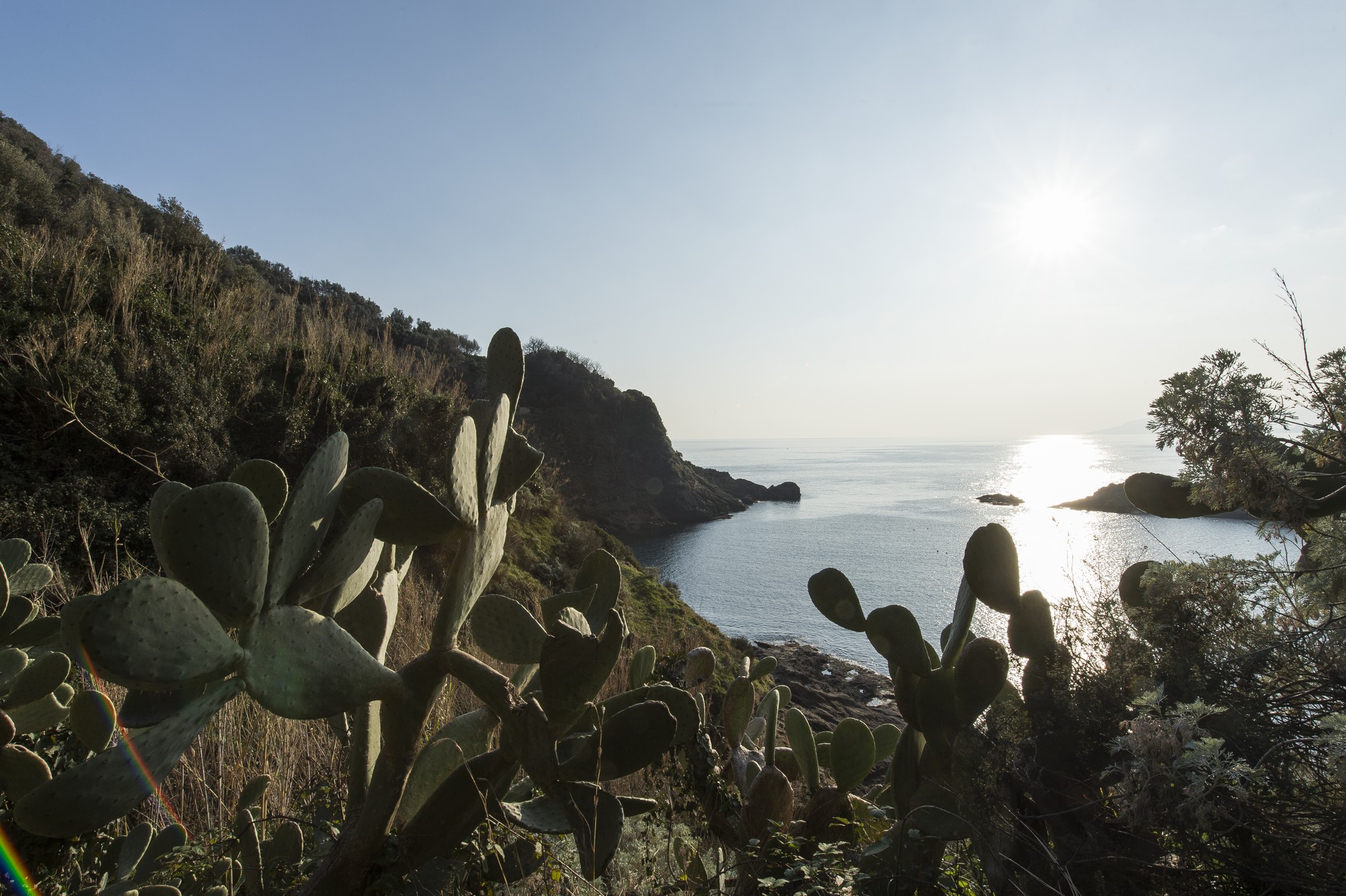 PARCO LETTERARIO DI NISIDA