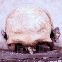 santa luciella santa luciella