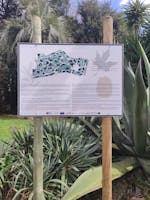 Floridiana Floridiana