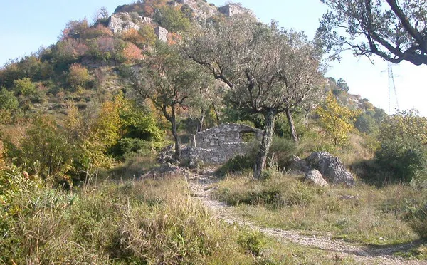 ROCCA S. QUIRICO