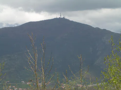 BOSCO DI CHIANCOLELLE