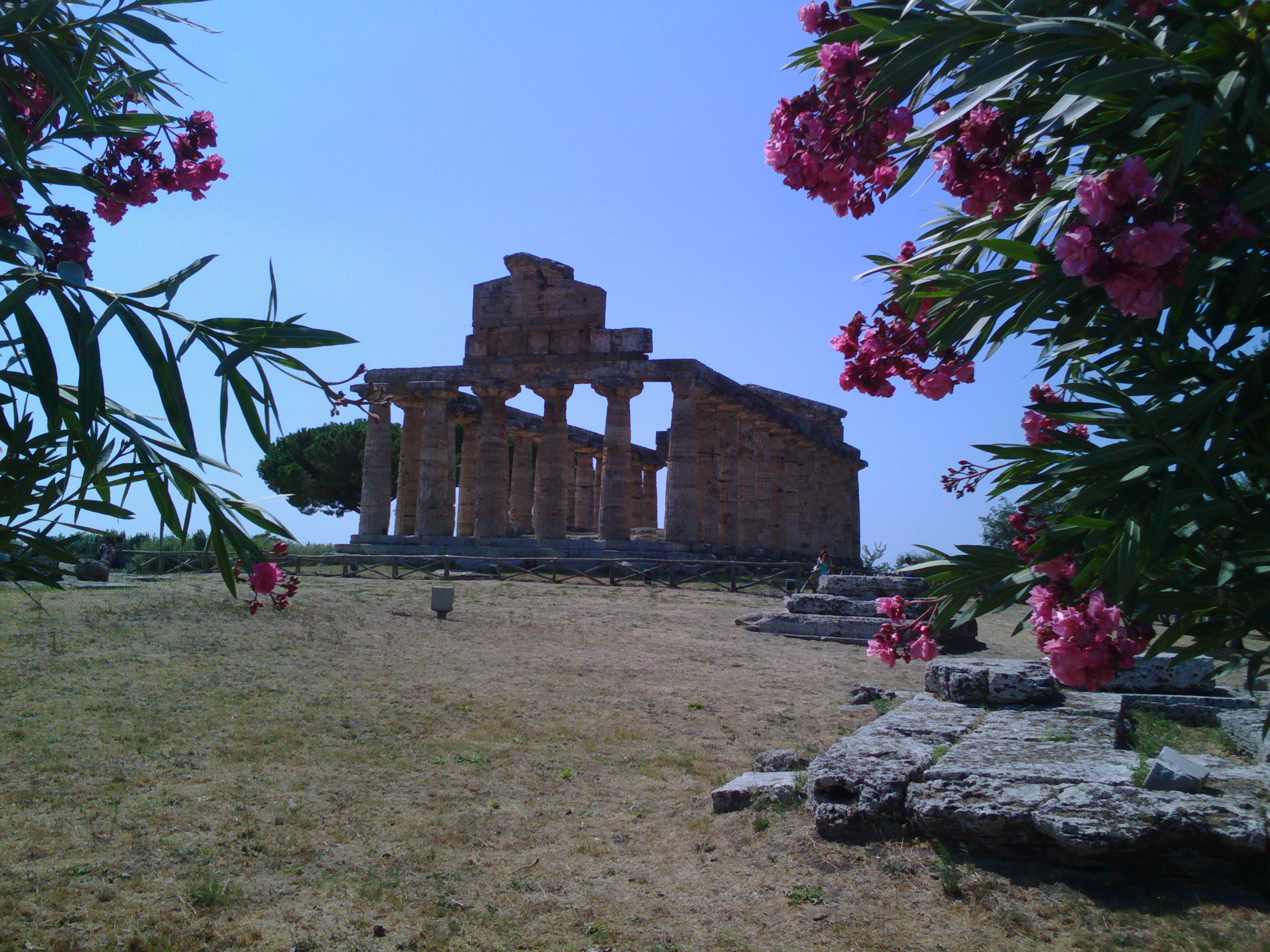 TEMPIO DI ATHENA (C.D. TEMPIO DI CERERE)