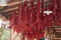 Agriturismo Caniloro - Lanciano (CH), Agriturismo Caniloro, LANCIANO (CH ) 