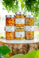 Azienda Agricola Terra Fonte, Altino (CH)