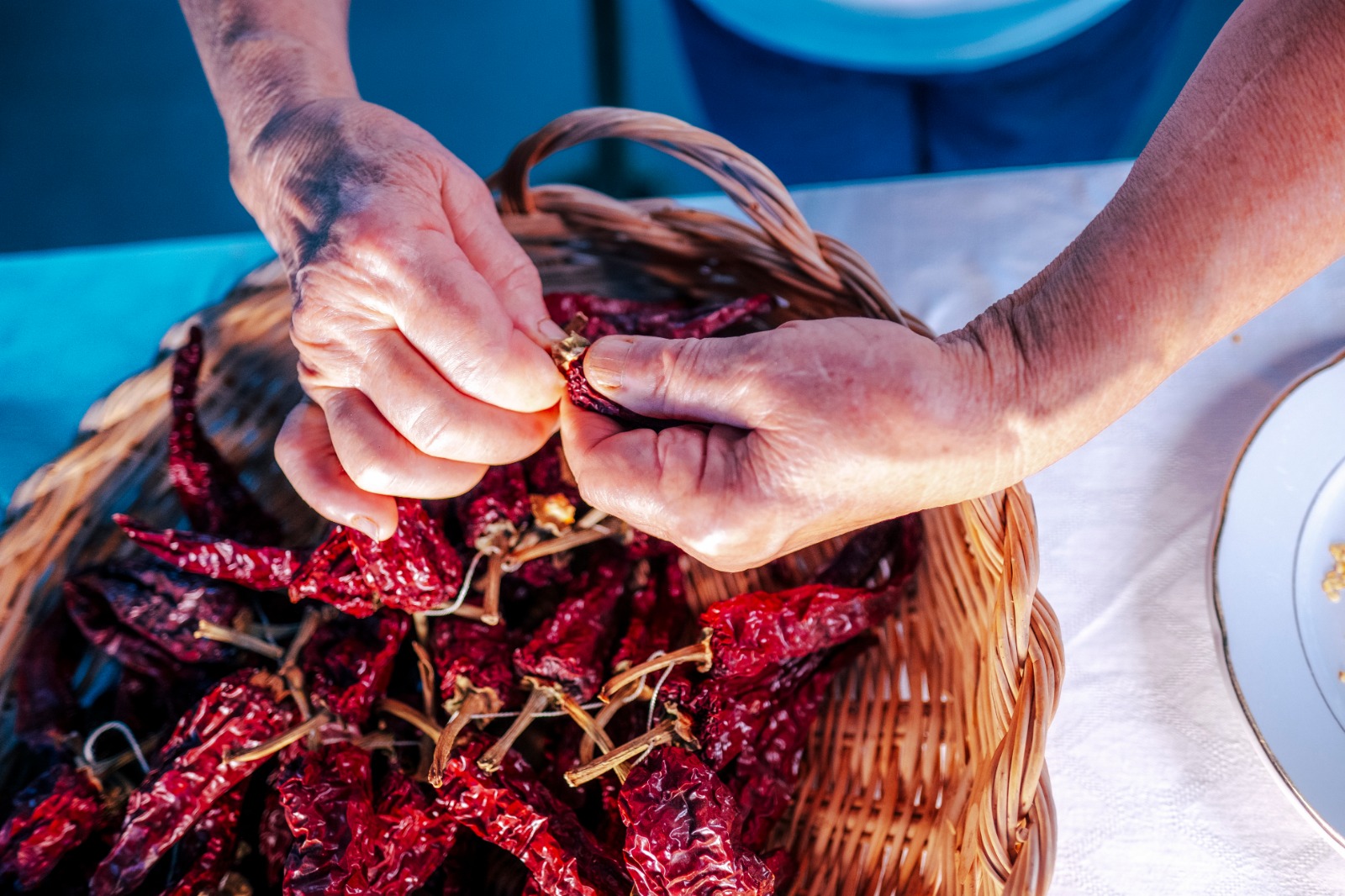 Azienda Agricola Terra Fonte, Altino (CH)