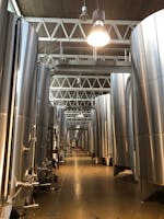 Cantine Spinelli, Cantine Spinelli, ATESSA (CH ) 