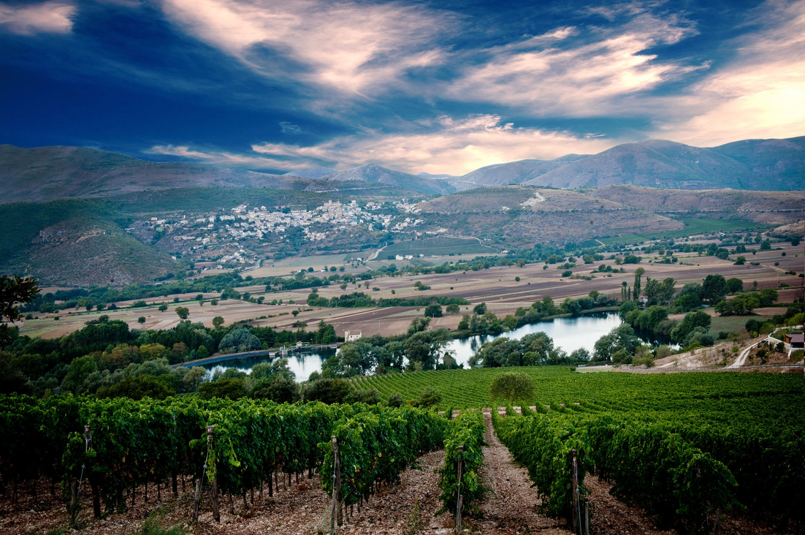 Azienda Agricola Pasetti