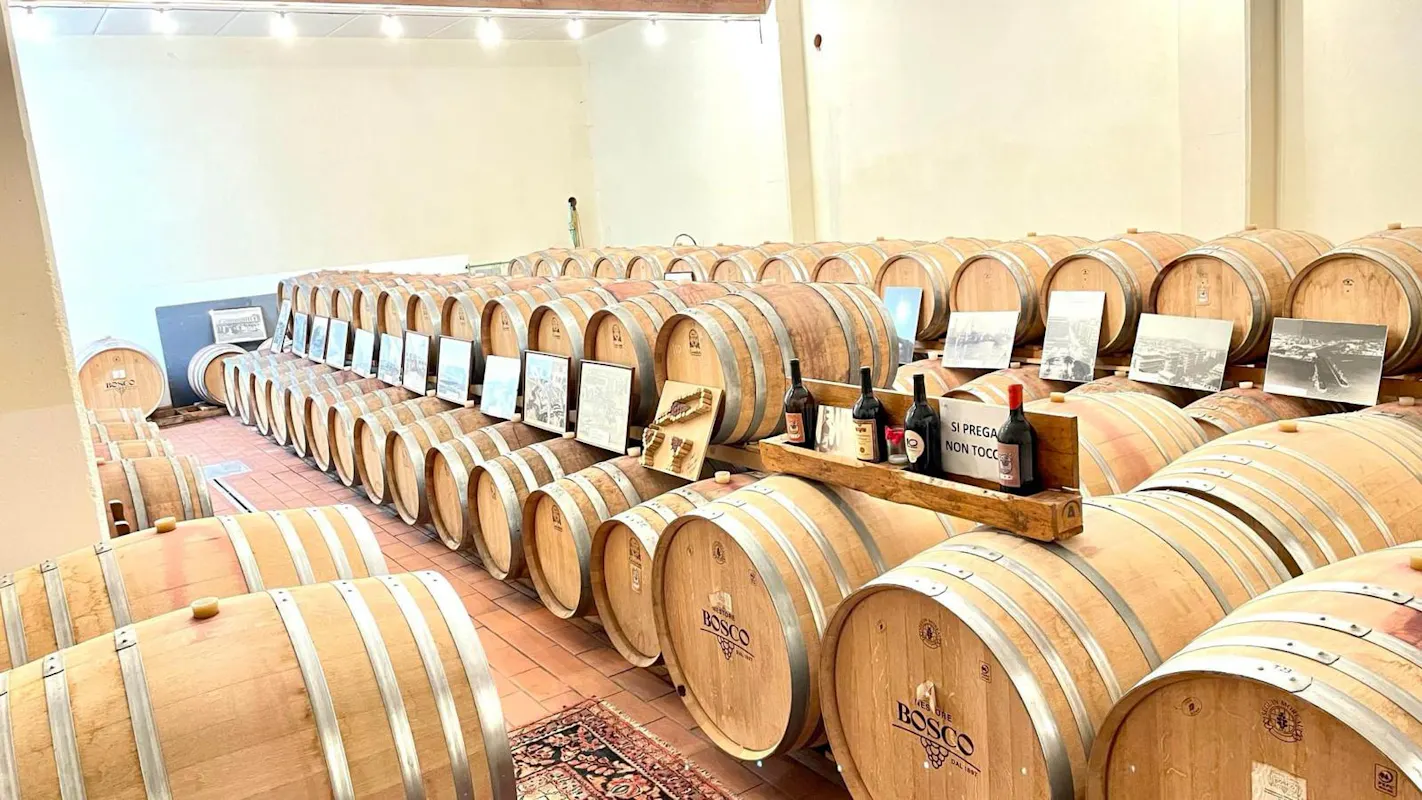 Cantine Bosco Nestore Cantine Bosco Nestore