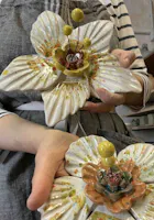 Maria Bruna Festa - Ceramiche d'Arte, Matera