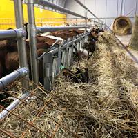 Agriturismo Paese Agriturismo Paese