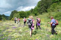 Rifugio Casello Margherita - Calabria Rifugio Casello Margherita - Calabria, Rifugio Casello Margherita, CELICO (CS )