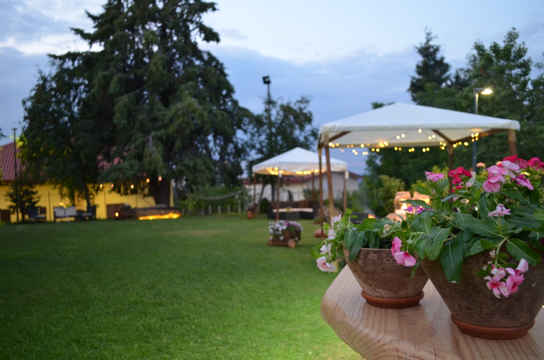 La Pignanella Ristorante