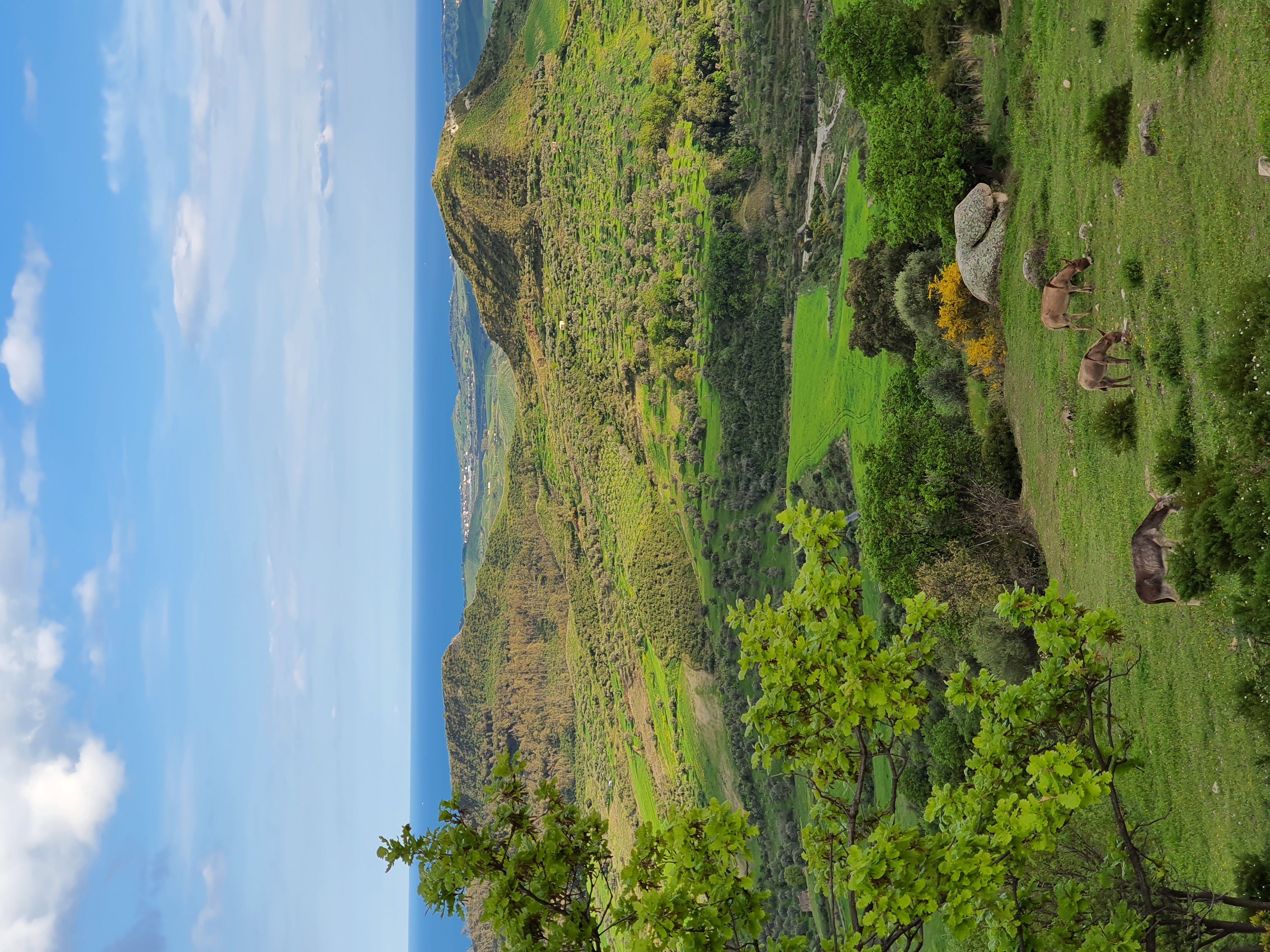 Avamposto Agricolo Autonomo