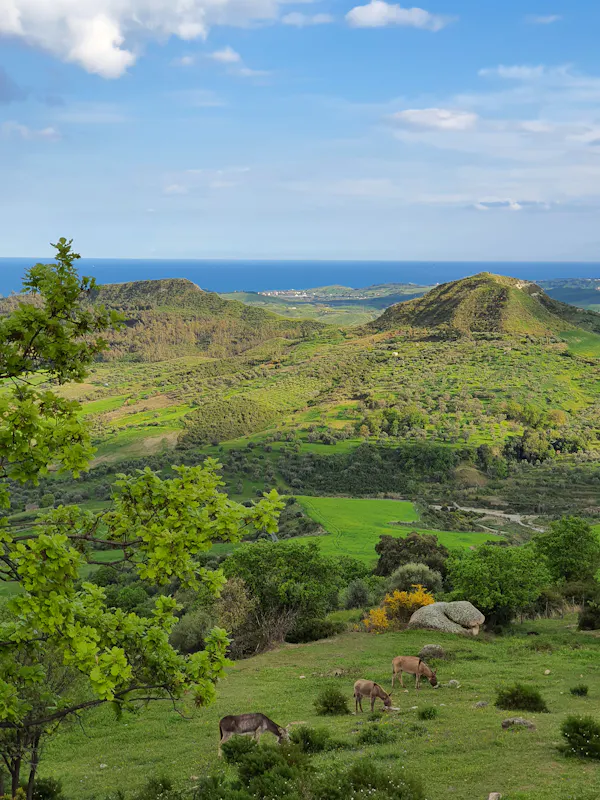 Avamposto Agricolo Autonomo Avamposto Agricolo Autonomo