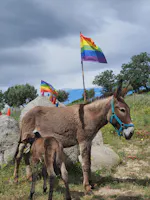 Avamposto Agricolo Autonomo