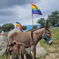 Avamposto Agricolo Autonomo Avamposto Agricolo Autonomo