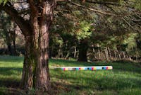 Museo D'arte Rubbettino