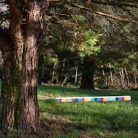 Museo D'arte Rubbettino Museo D'arte Rubbettino