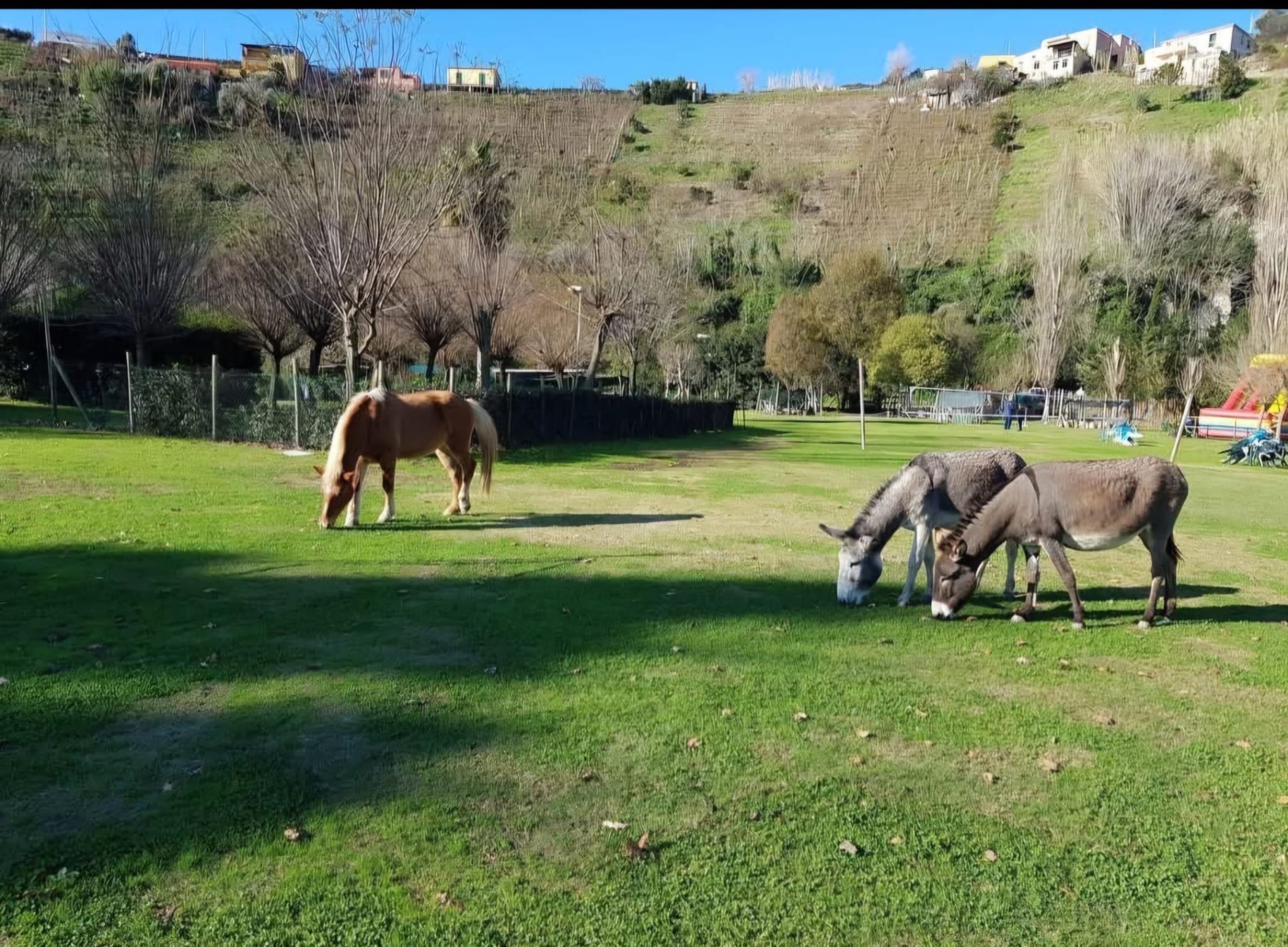 Agriturismo I Fondi di Baia a Bacoli