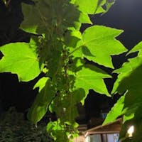 Ristorante Columbus Ristorante Columbus