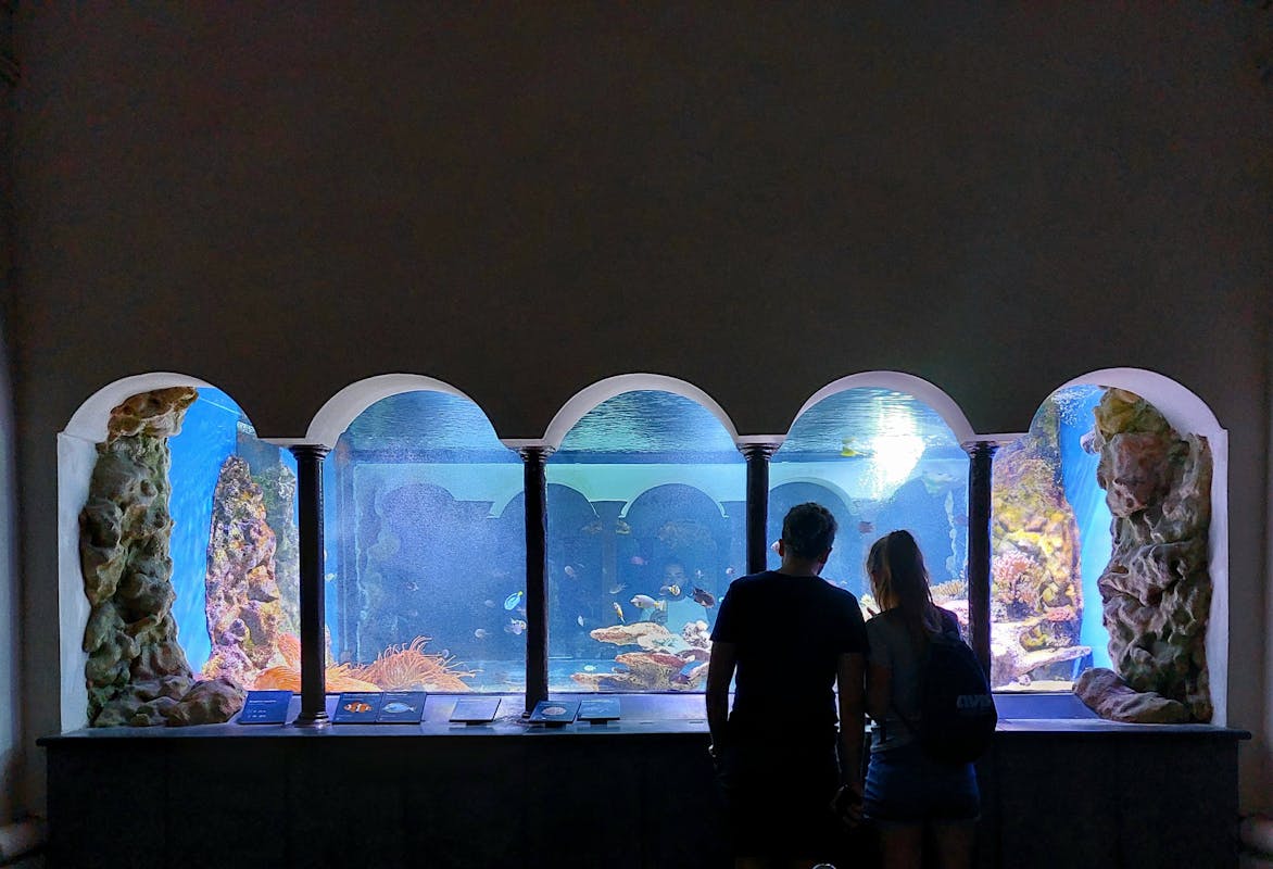 Aquarium Aquarium
