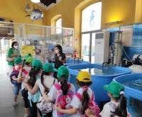 Turtle Point Turtle Point