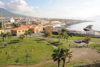 Turtle Point Turtle Point