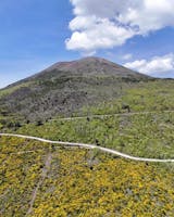 Vesuvio Drive