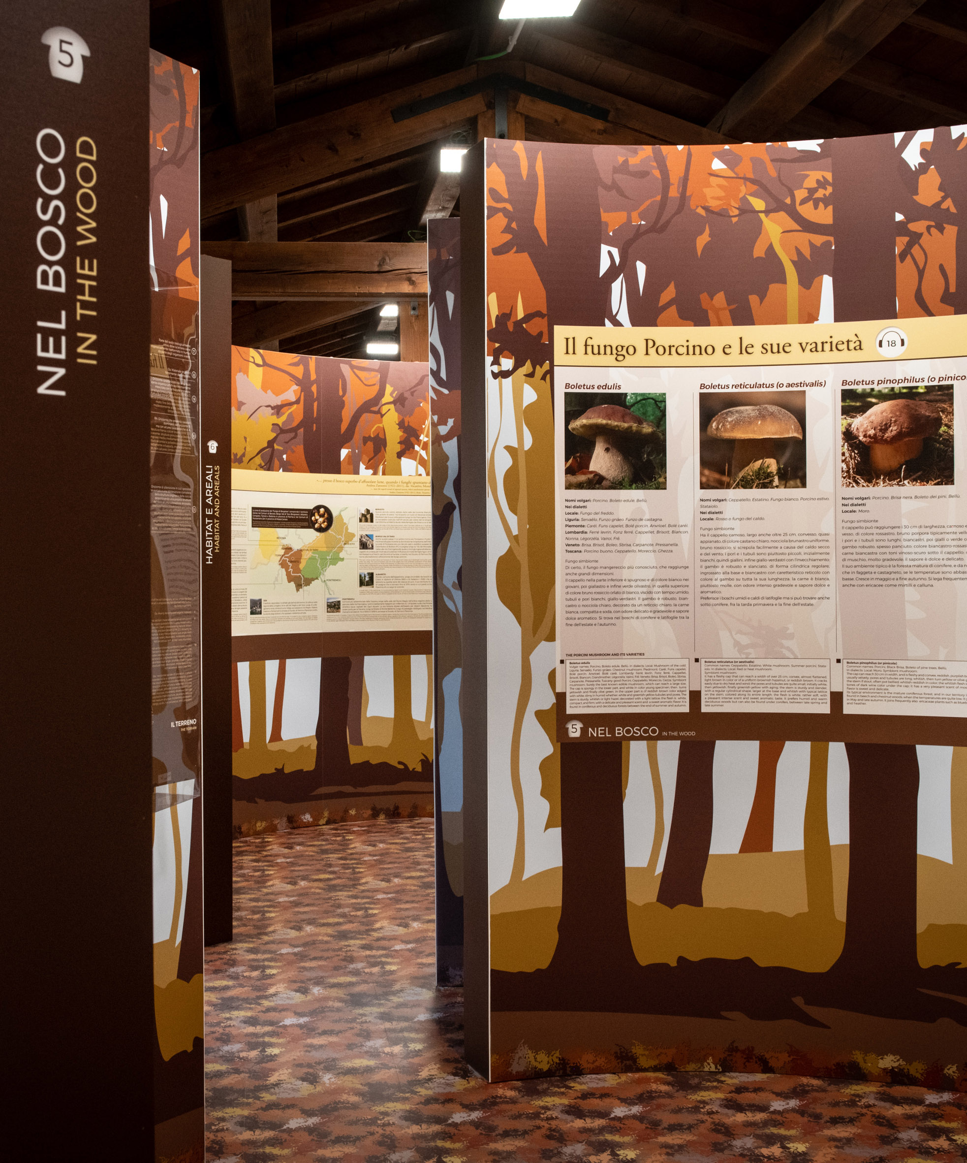 Museo del Fungo Porcino - Sede di Borgotaro