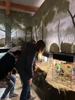 Museo Casa delle Farfalle, Milano Marittima