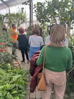 Museo Casa delle Farfalle, Milano Marittima