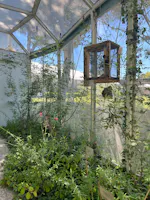 Museo Casa delle Farfalle, Milano Marittima