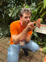 Museo Casa delle Farfalle, Milano Marittima