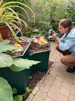 Museo Casa delle Farfalle, Milano Marittima
