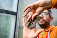 Museo Casa delle Farfalle