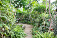 Museo Casa delle Farfalle